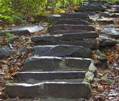 317-1345 Steps
